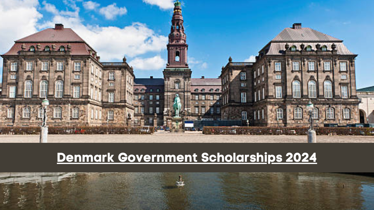 Fully Funded Denmark Scholarships 2024/2025 Fully Funded Denmark Scholarships