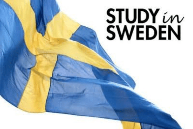 Cheap Schools and Universities in Sweden for Masters Degree and Their School Fees Cheap Schools and Universities in Sweden for Masters Degree and Their School Fees
